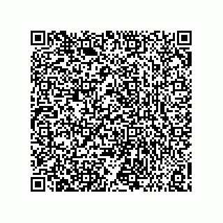 vCard 73858133300