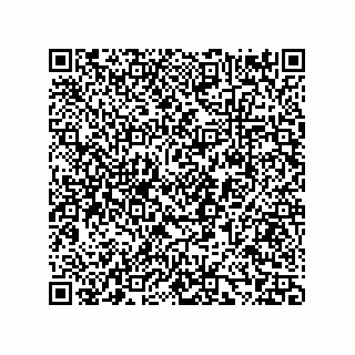 vCard 73858133302