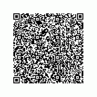 vCard 73858133303