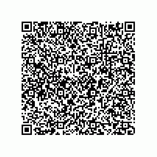vCard 73858133305