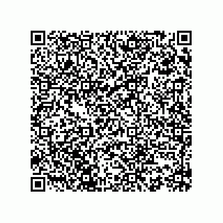 vCard 73858133309