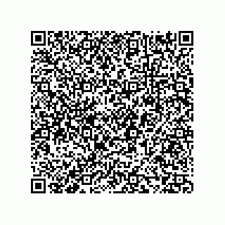 vCard 73858133311