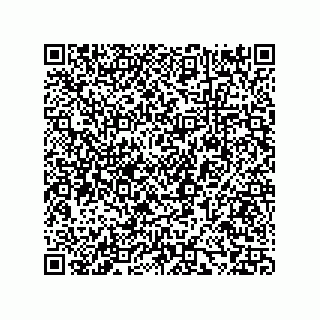 vCard 73858133312