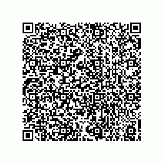 vCard 73858133313