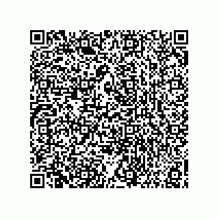 vCard 73858133317