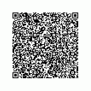vCard 73858133319