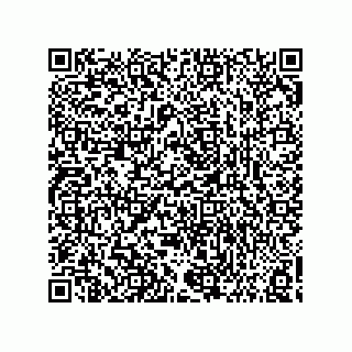 vCard 73858133321