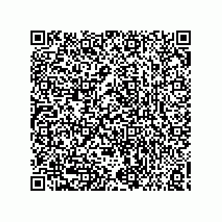 vCard 73858133325