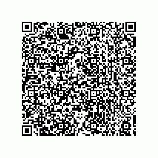 vCard 73858133329