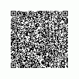 vCard 73858133331