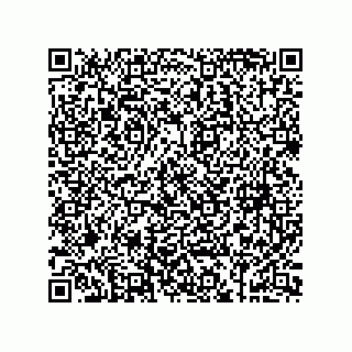 vCard 73858133333