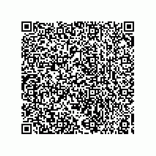 vCard 73858133334