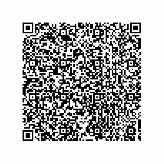 vCard 73858133335