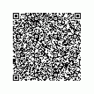 vCard 73858133338