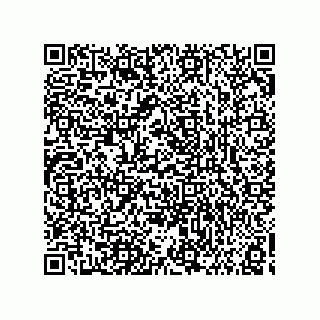 vCard 73858133339