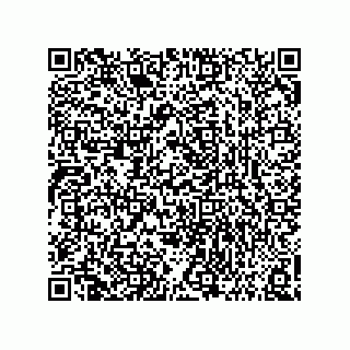 vCard 73858133341