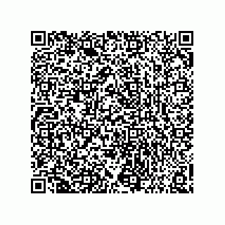 vCard 73858133342