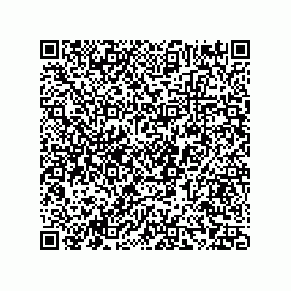 vCard 73858133347