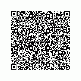 vCard 73858133353