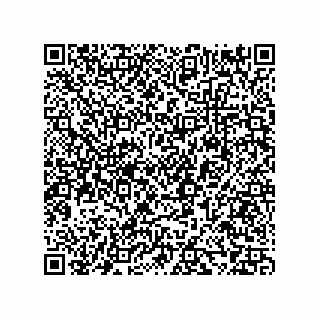 vCard 73858133369