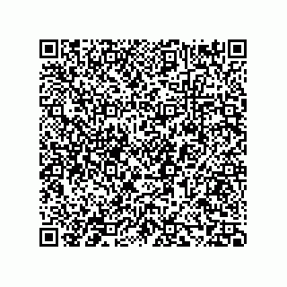 vCard 73858133381