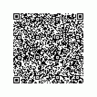 vCard 73858133382