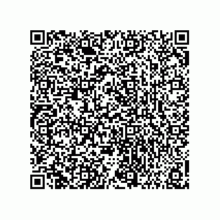 vCard 73858133383