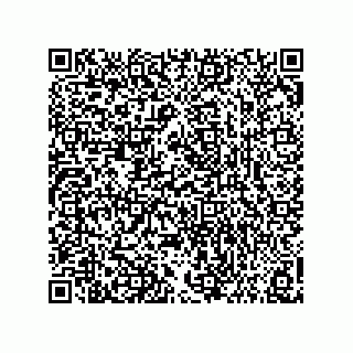 vCard 73858133384