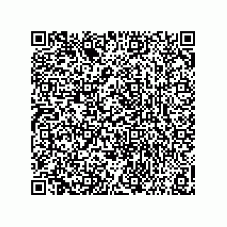 vCard 73858133385