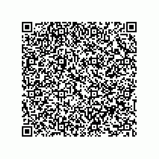 vCard 73858133387