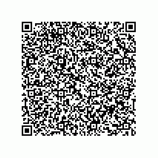 vCard 73858133388