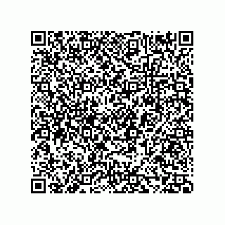 vCard 73858133389