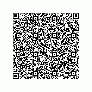 vCard 73858133391