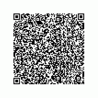 vCard 73858133393