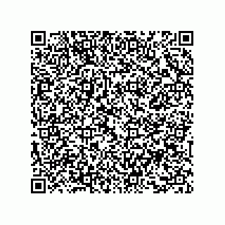 vCard 73858133399