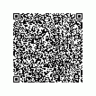 vCard 73858142333
