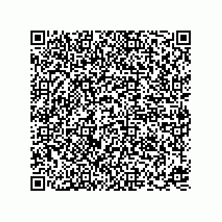 vCard 73858323408