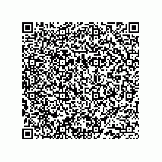 vCard 73858433303