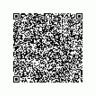 vCard 73858463411