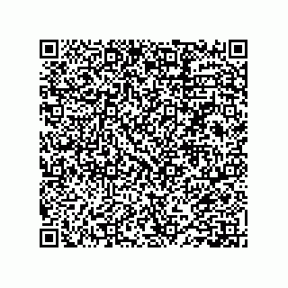 vCard 73858463419