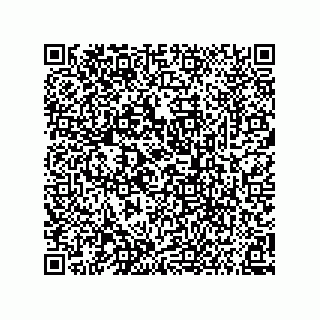 vCard 73858477419