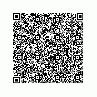 vCard 73858523321
