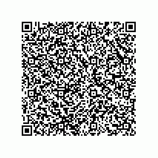 vCard 73858720320
