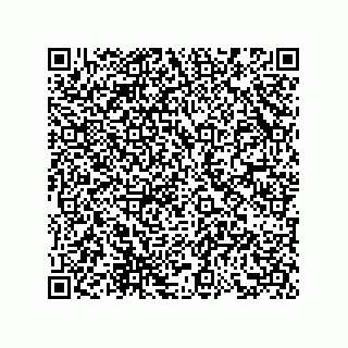 vCard 73858720331