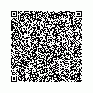 vCard 73858723331