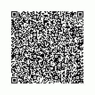 vCard 73858723333