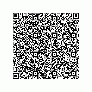 vCard 73858727329