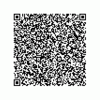 vCard 73858727333