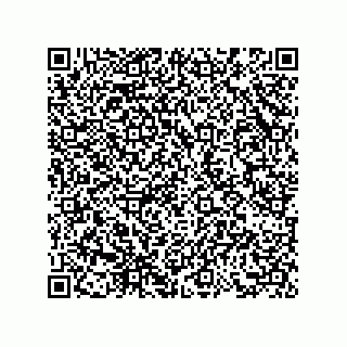 vCard 73858727399