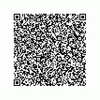 vCard 73858727403